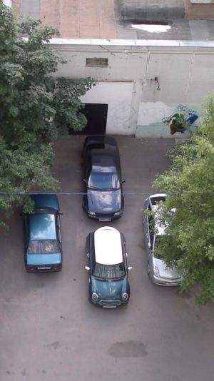 зверюшки