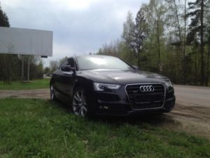 IMG 0231[1]
