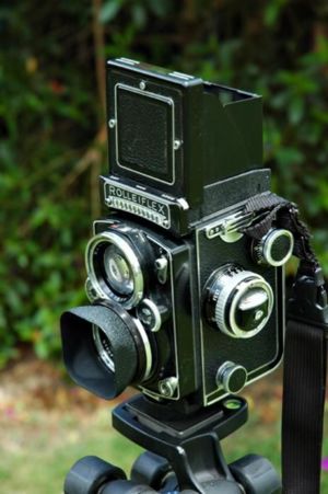 rollei