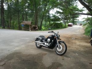 honda shadow