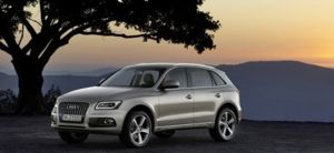 audi q5 small  9