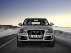 audi q5 small  23