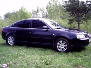 CRIM0038