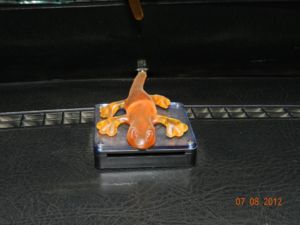 DSCN3746