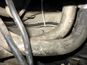 IMG 6238 resize