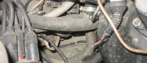 IMG 7110 resize