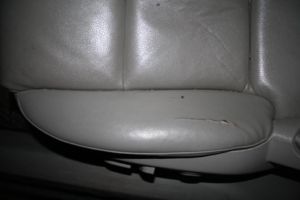 IMG 4428