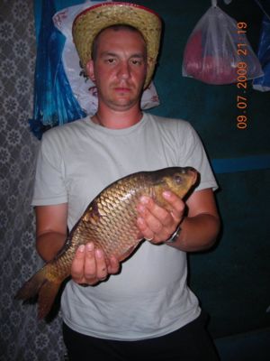 Сазан 4,2-4,3 кг
