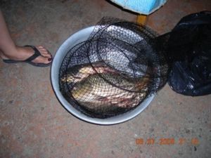 Рыбалка на Кубани