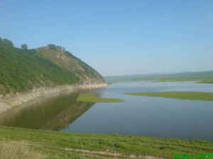 DSC01336