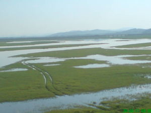 DSC01338