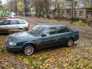 Моя зверюга! )))