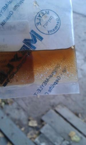 IMAG0742