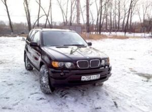 Мой бывший кабанчик