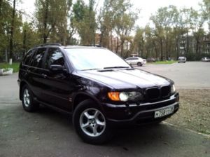 Мой бывший кабанчик