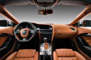 1353606046 vilner audi s5 04