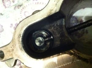 EGR2