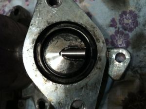 EGR3
