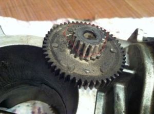 EGR5