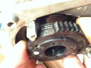 EGR6
