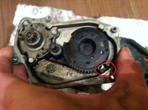 EGR7