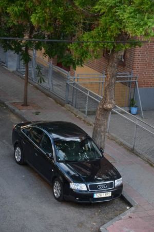 SENORITA