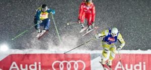 audi is small  1