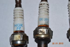 DSC 5037