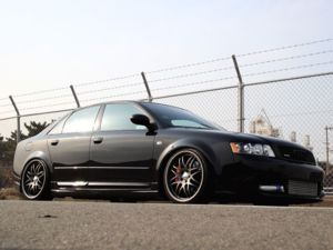 QlJBA55AMo