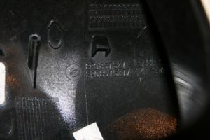 IMG 8974