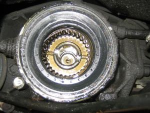 IMG 0312