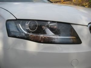 IMG 9253 1