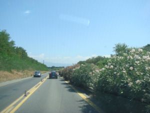 DSC04199