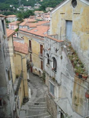 DSC04210