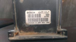 IMAG0567
