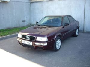 IMGP3120