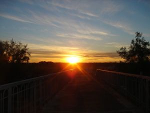 DSC09095