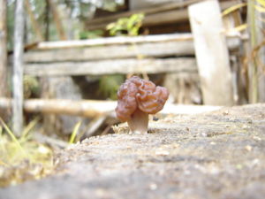 DSC02169