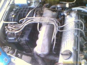 IMAGE 00047