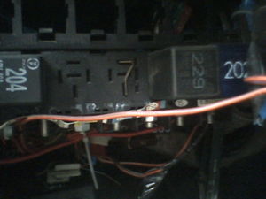 IMG0136A