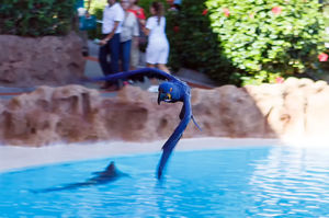 IMG 7477