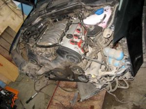 V8 4,2 BFM