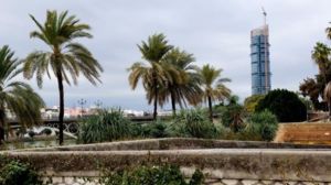DSC03692