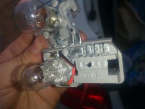 DSC 1101