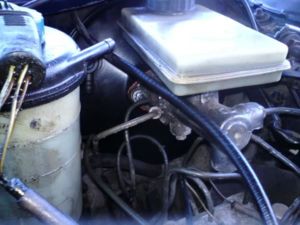 DSC00550