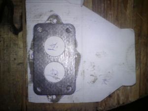 DSC00555