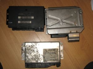 IMG 0091