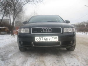 IMG 7695