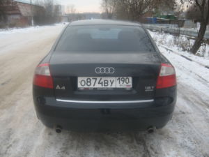 IMG 7697
