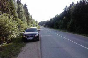 Первый выезд на дачу.